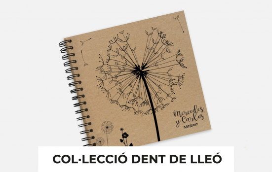 Boda_Dent_de_Lleo_CAT