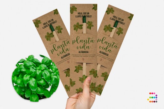 ALBAHACA-Llapis-plantables_CAT