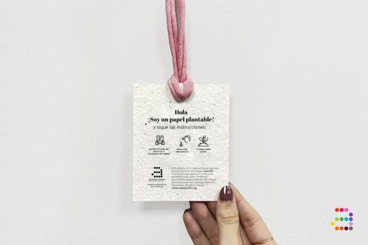 Acreditacio-paper-plantable_instruccions_ESP2