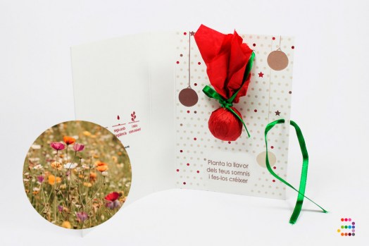 Empresa-felicitacion-bomba-flores_CAT