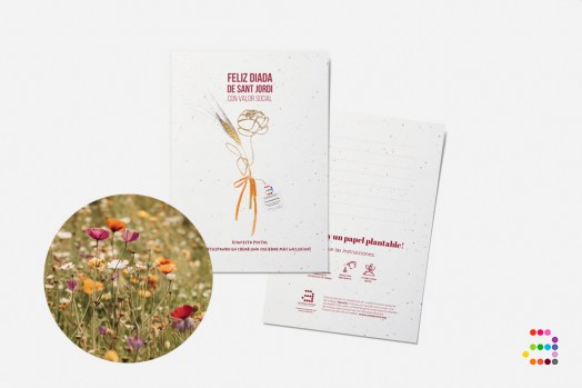 SJ_postal-flores-ESP