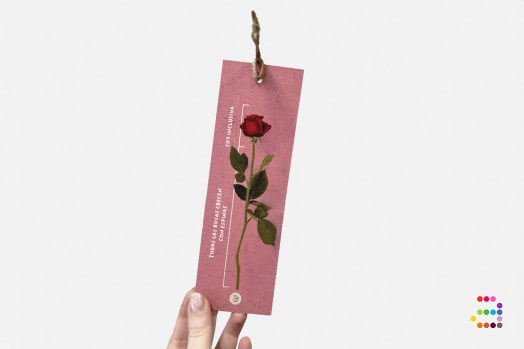 SJ_punt-llibre-Rosa_Rosa_esp